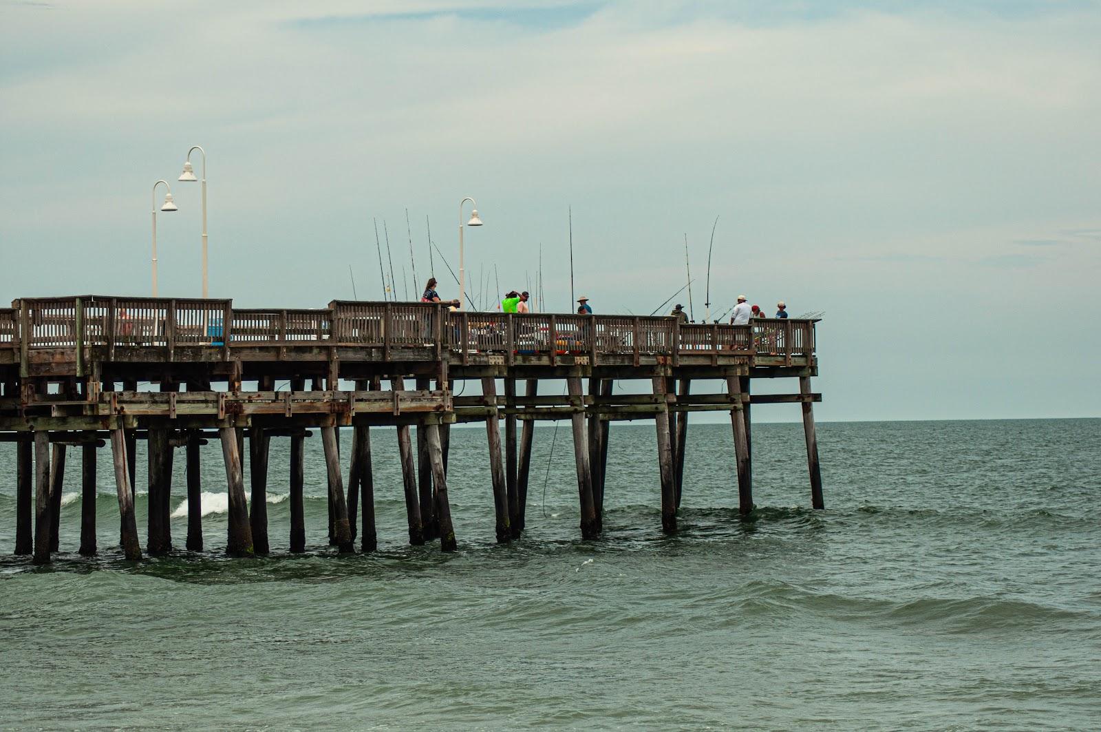 Sandee Sandpiper Beach Photo