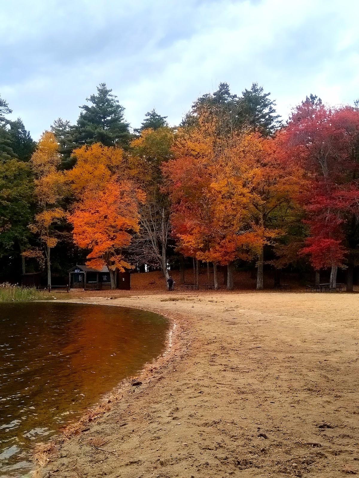 Sandee - Kingston State Park