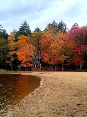 Sandee - Kingston State Park