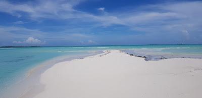 Sandee - Ambergris Cay Beach