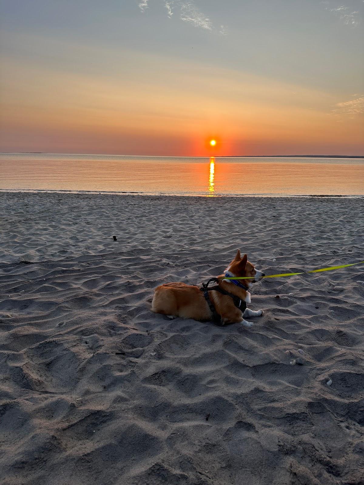 Sandee - Albert's Landing Beach