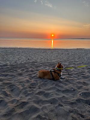 Sandee - Albert's Landing Beach