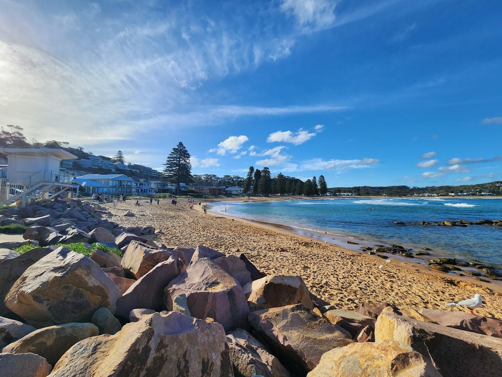 Sandee Avoca Beach Photo