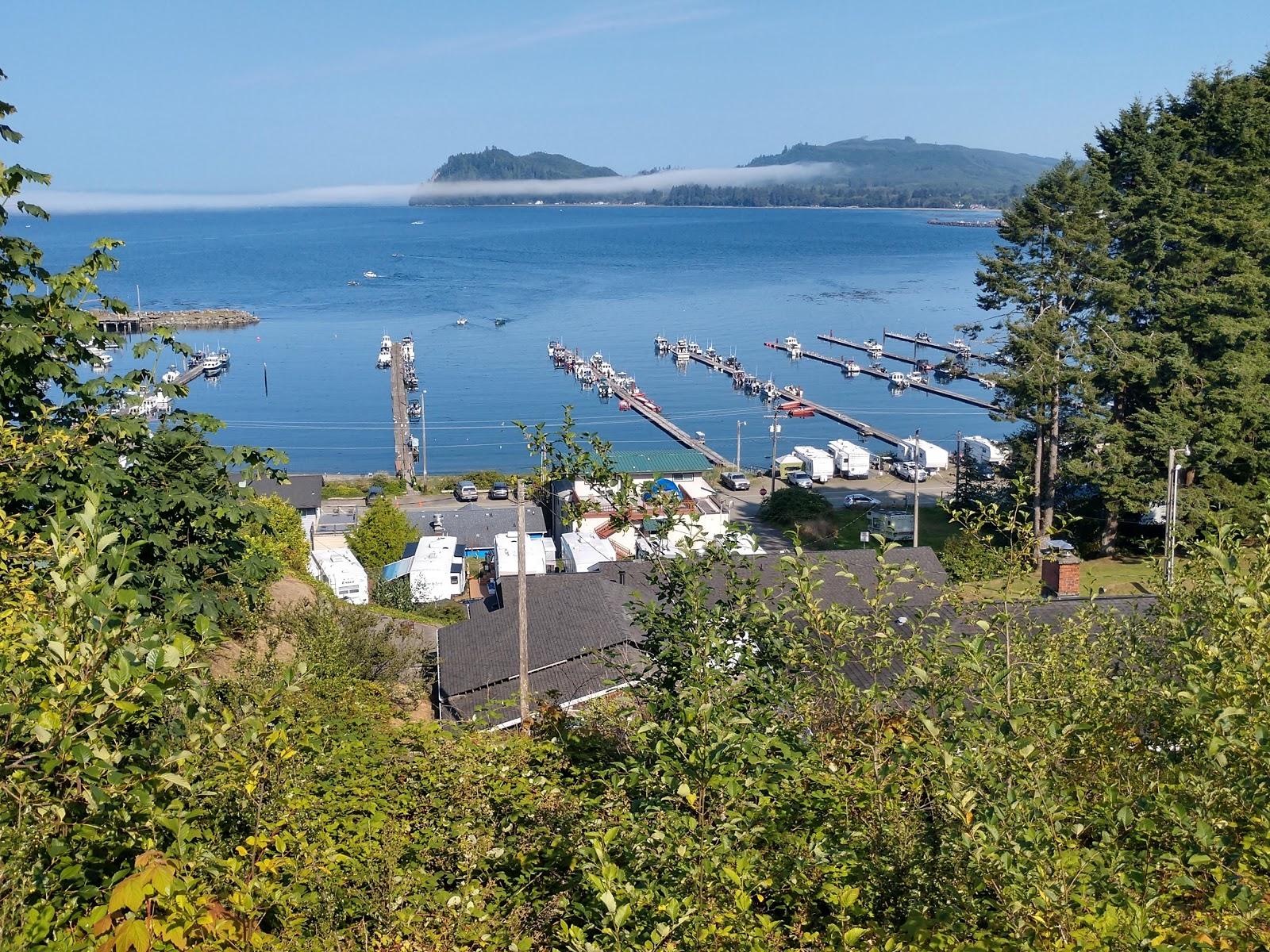 Sandee Olsen's Marina
