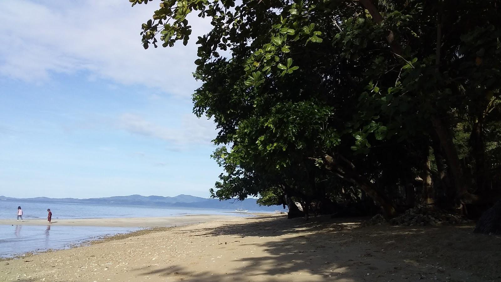 Sandee Buenavista Alberto's Beach Resort