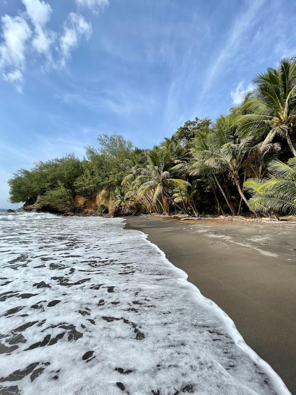 Sandee Plage De L'Anse A La Fontaine Photo