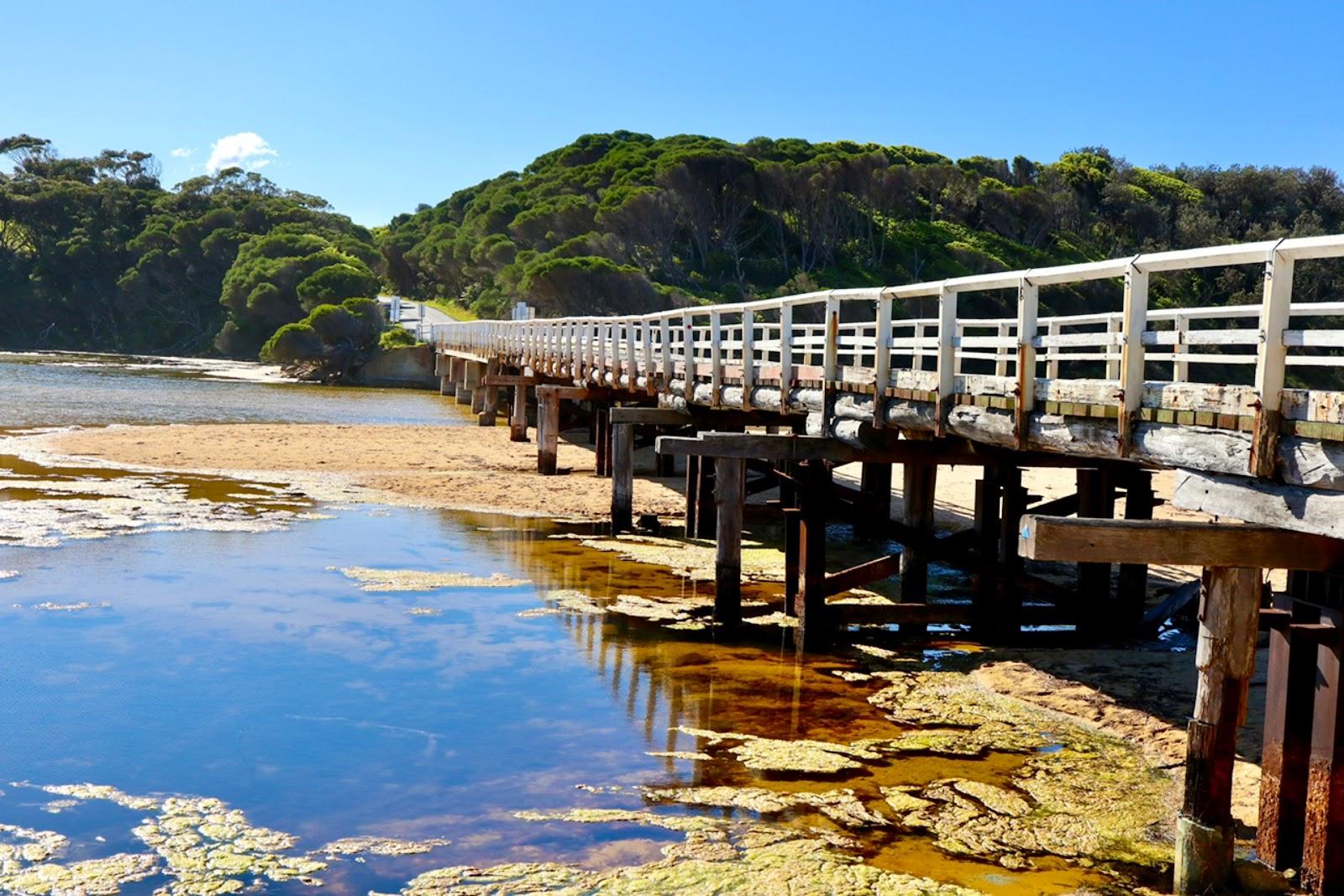 Sandee Cuttagee Beach Photo