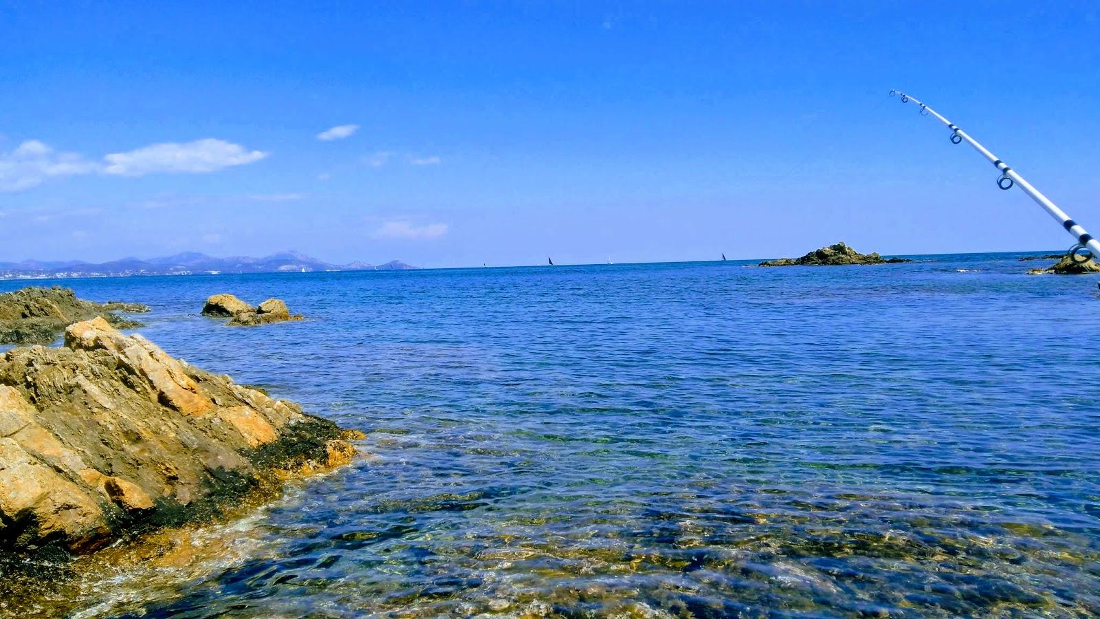 Sandee Plage Du Corsaire