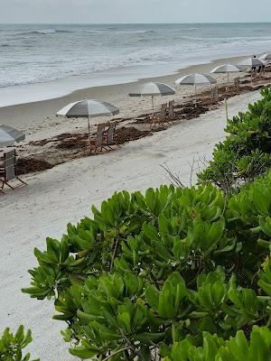 Sandee - Beach Sea Oaks