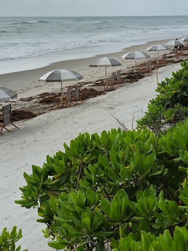 Sandee Beach Sea Oaks Photo