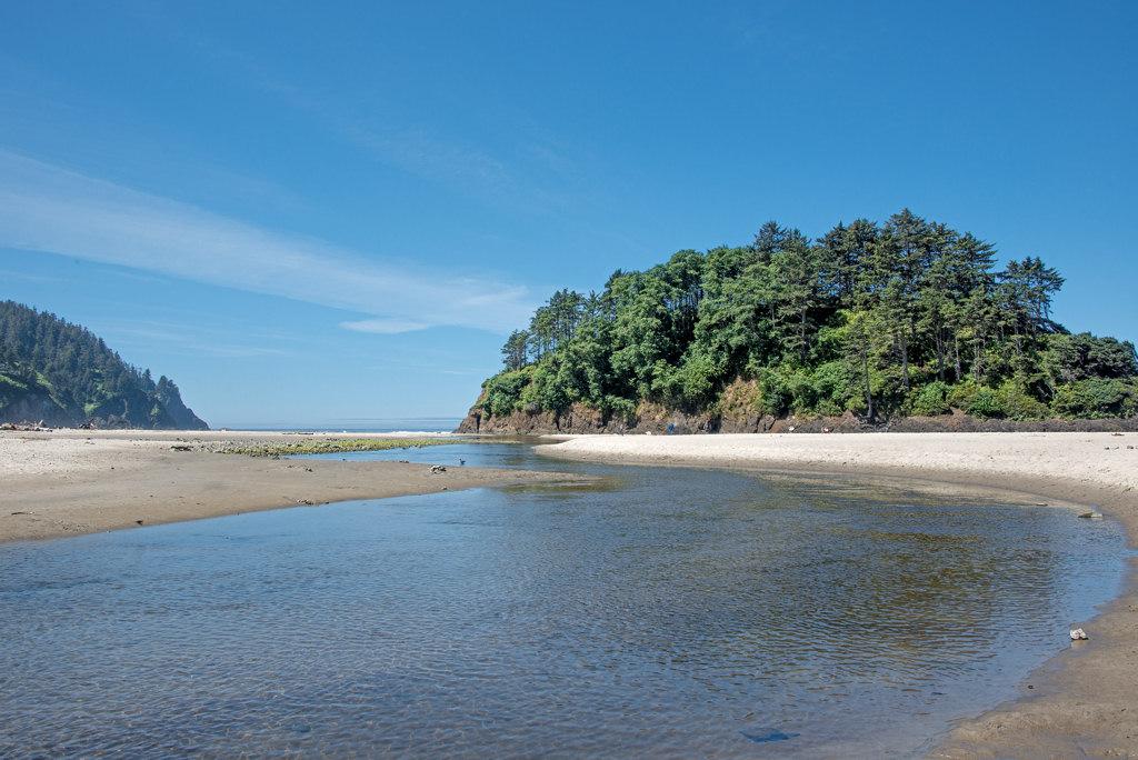 Sandee Neskowin Beach State Recreation Site