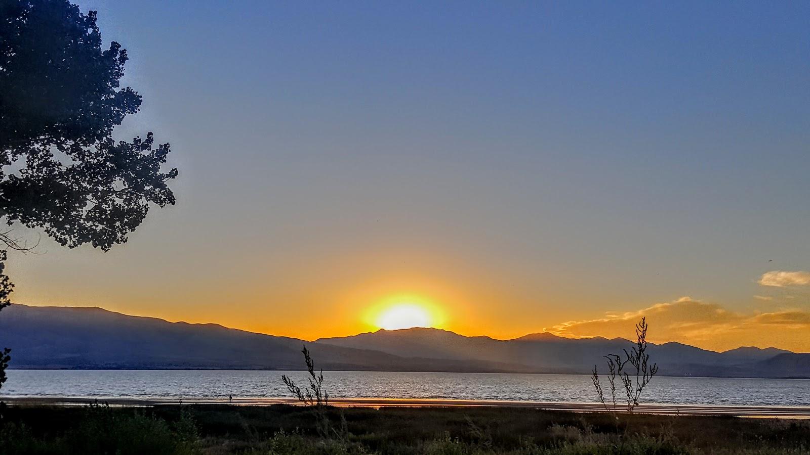 Sandee Vineyard Beach