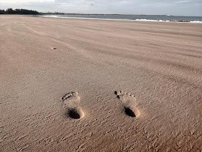 Sandee - Barefoot Beach Camp