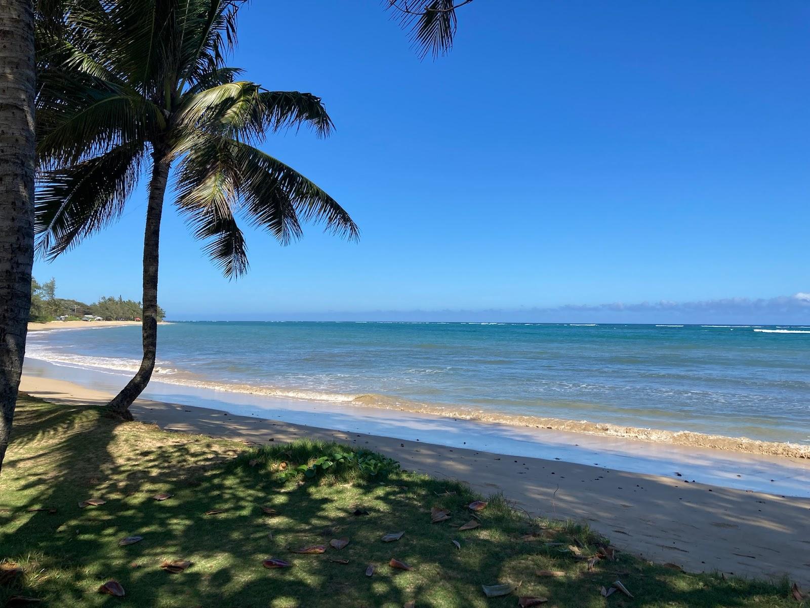 Sandee - Punaluu Beach Park