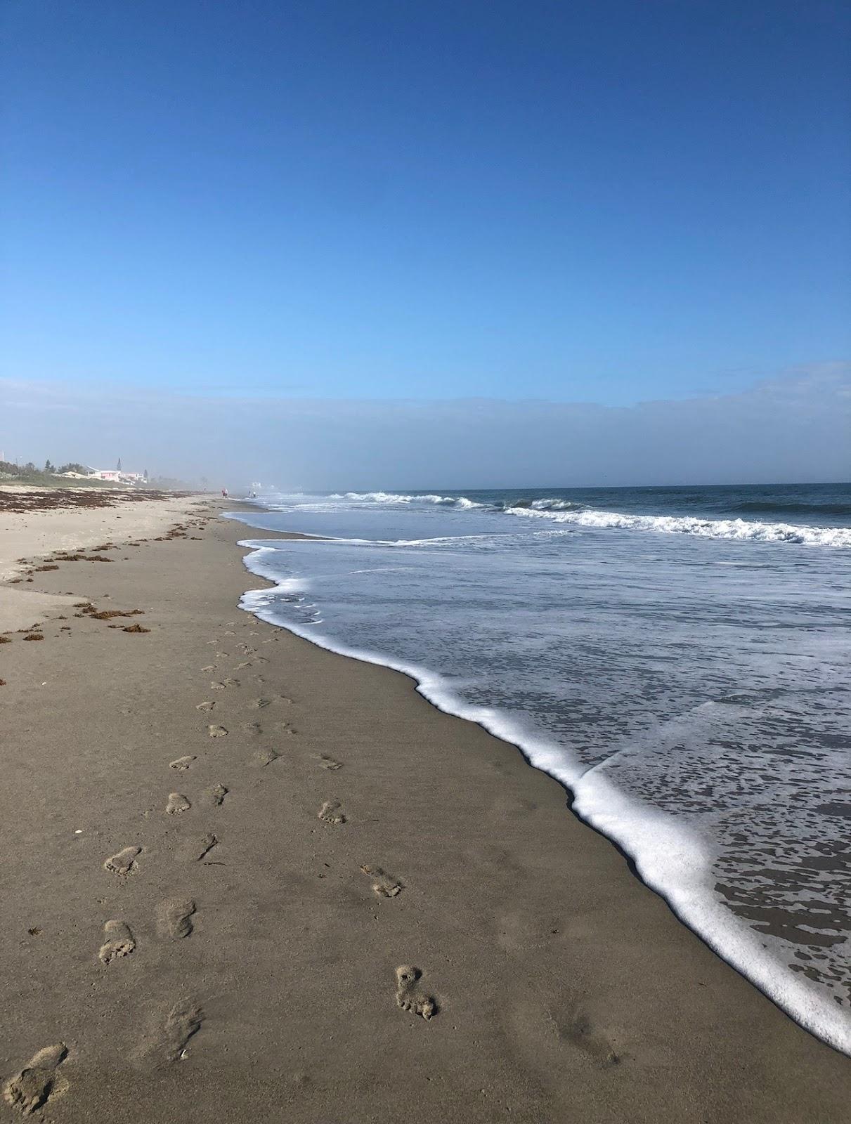 Sandee - Peacock Beach