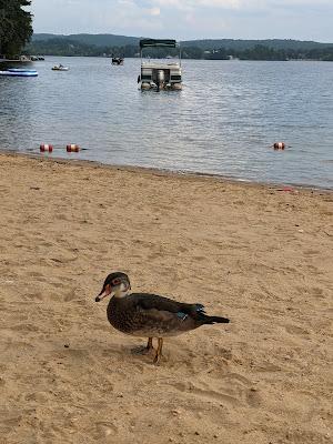 Sandee - Bond Beach Park.