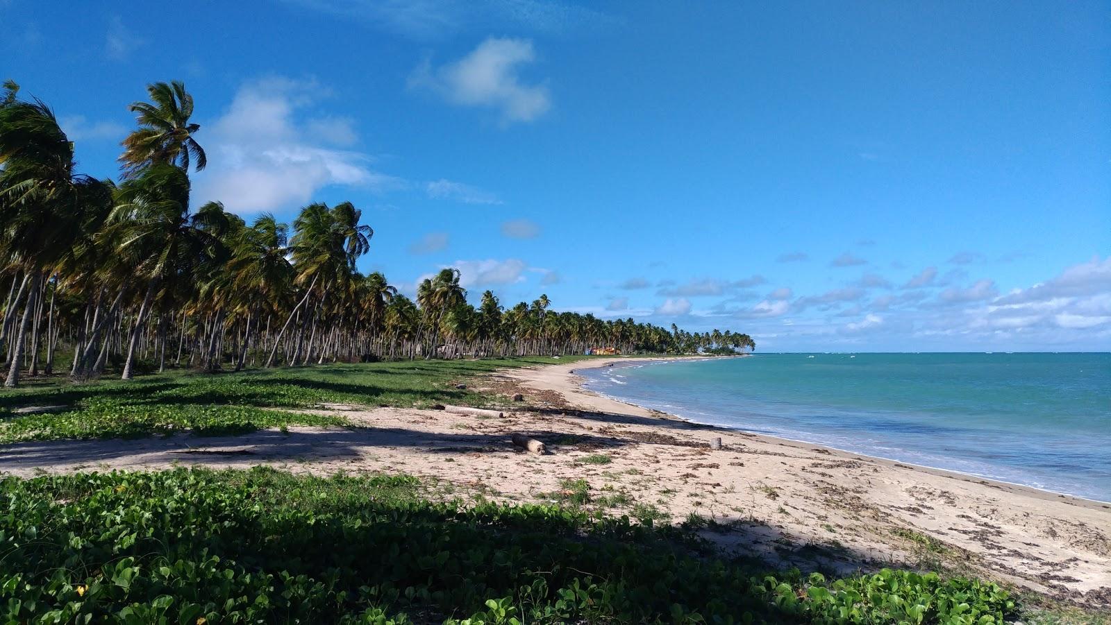 Sandee Praia Da Laje - Rota Ecologica Dos Milagres