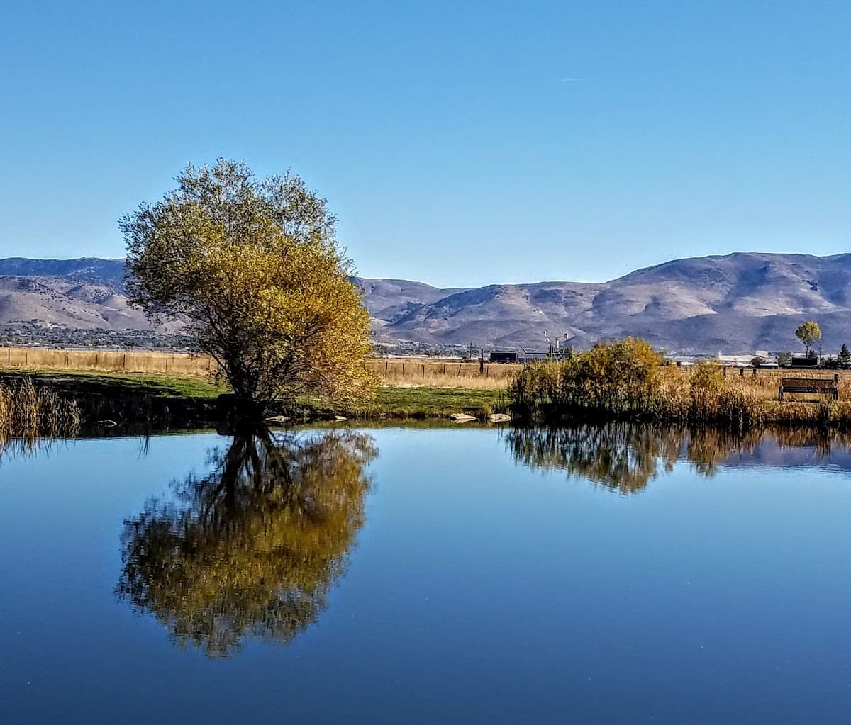 Sandee Wilson Common Park Pond Photo