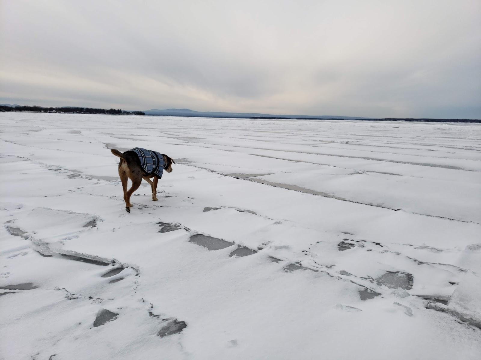 Sandee Rossetti Natural Area/Thayer Beach Parking Lot Photo