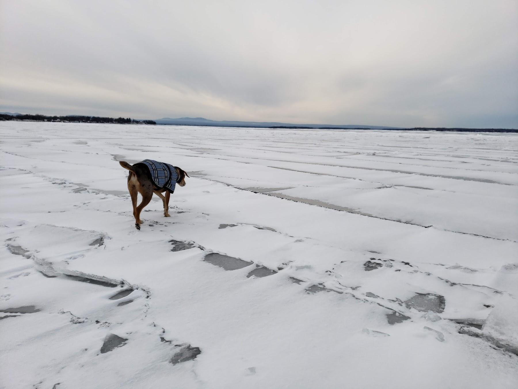 Sandee Rossetti Natural Area/Thayer Beach Parking Lot