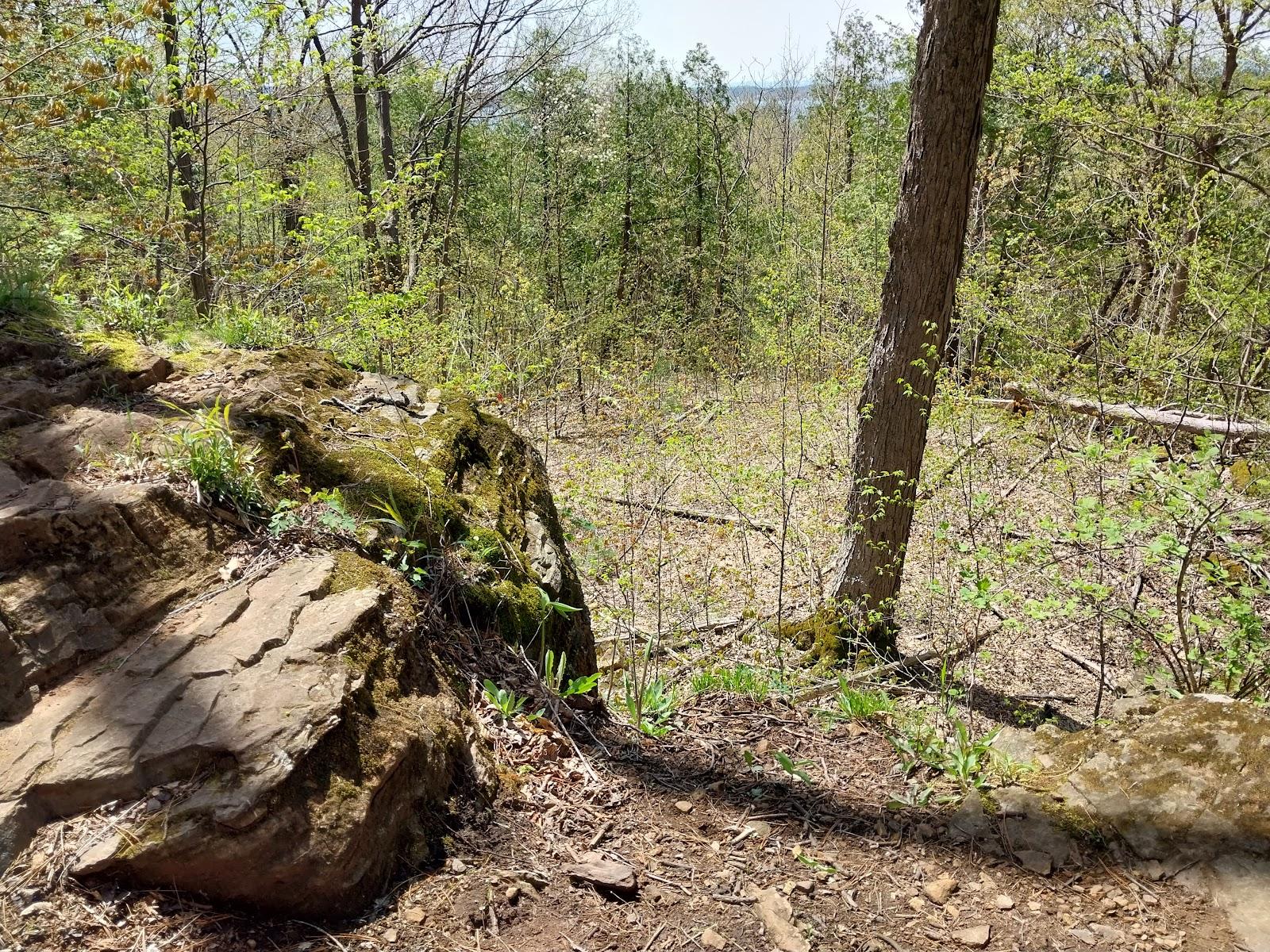 Sandee Rock River