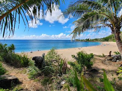 Sandee - Waimea Bay Beach