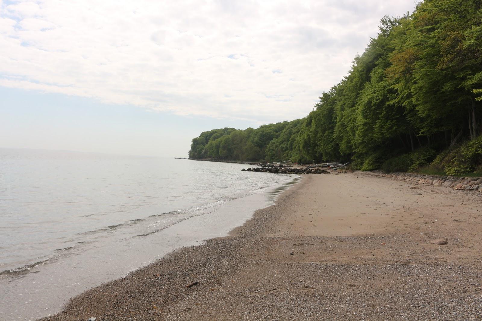 Sandee Ballehage Beach