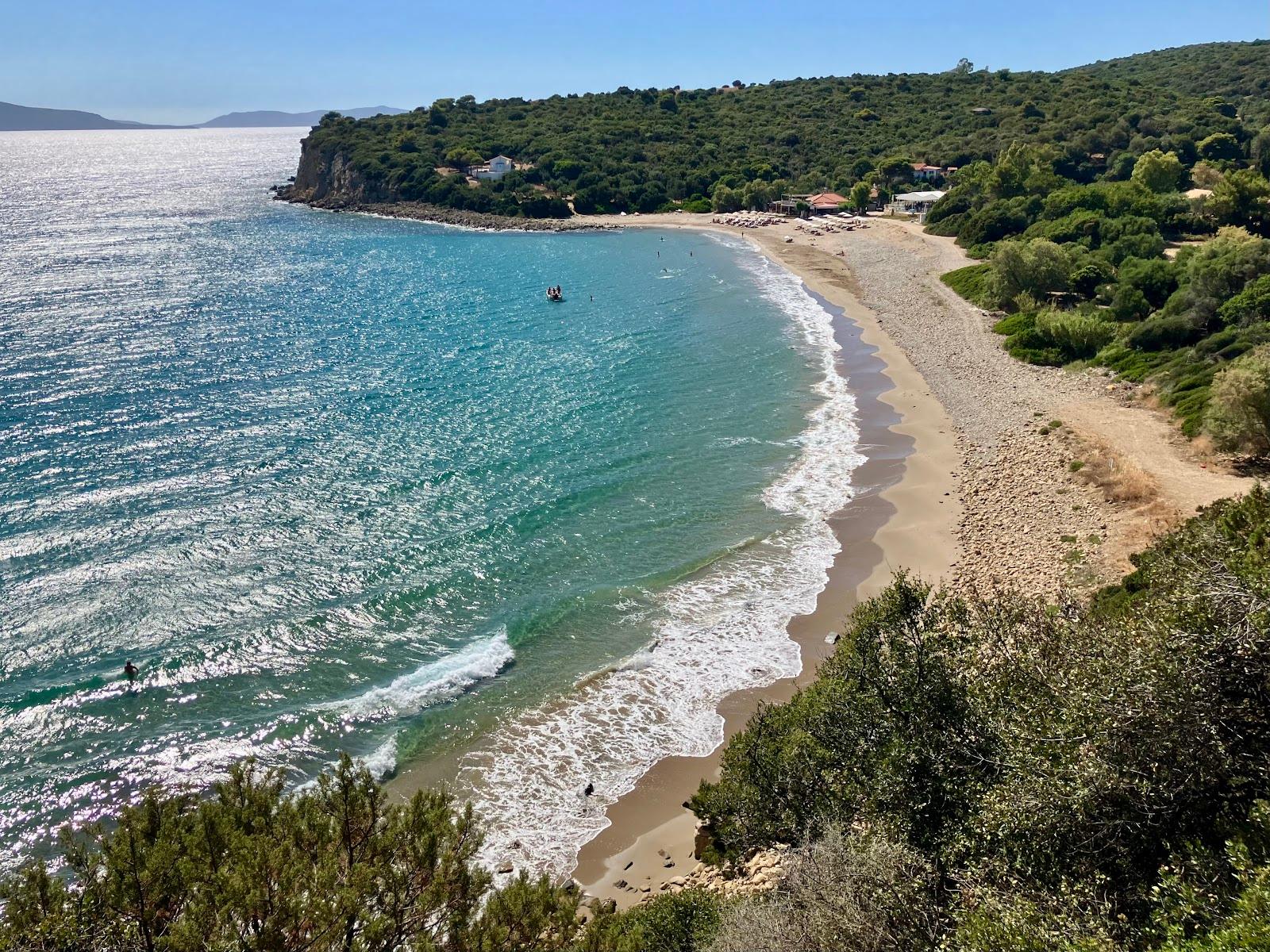 Sandee Tsapi Beach Photo