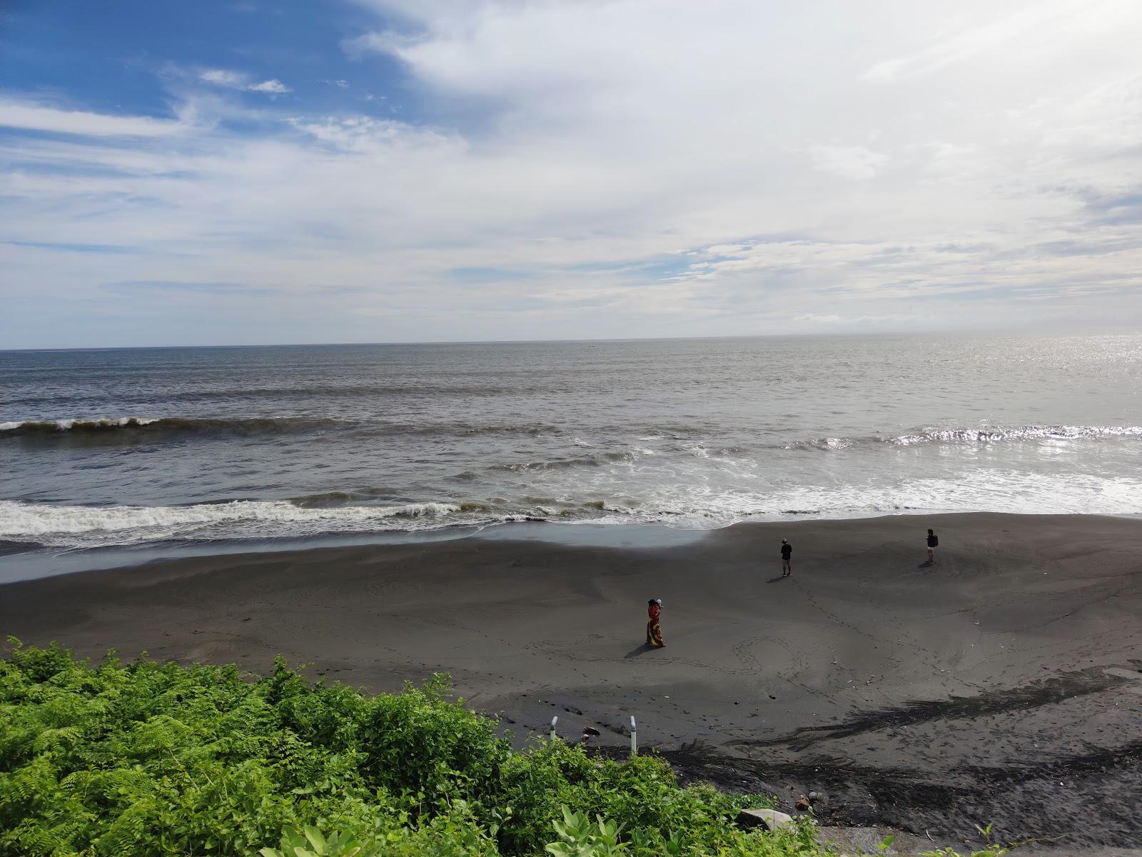 Sandee - Nyanyi Beach