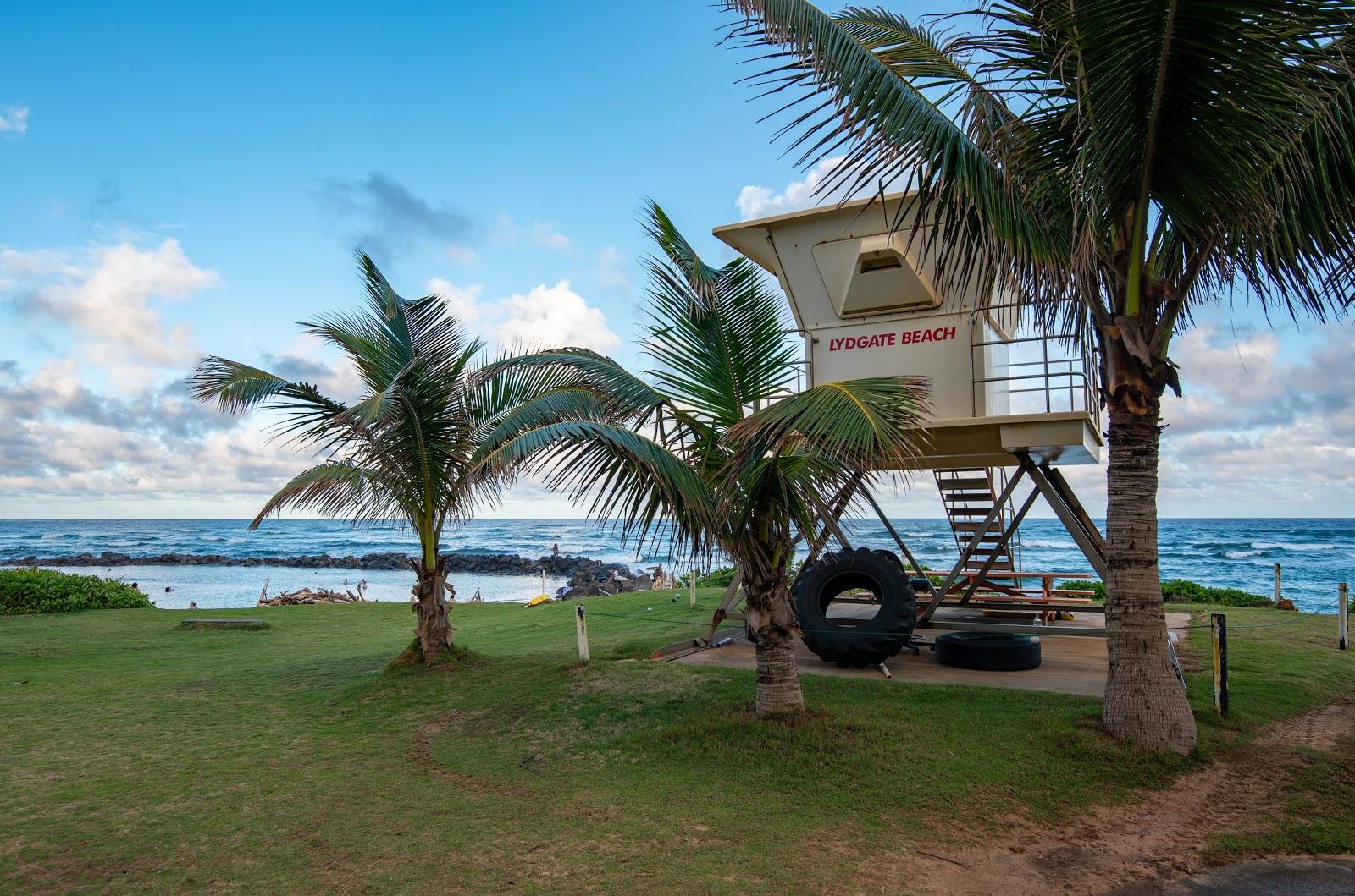 Sandee - Lydgate Beach Park