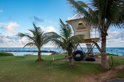 Sandee - Lydgate Beach Park