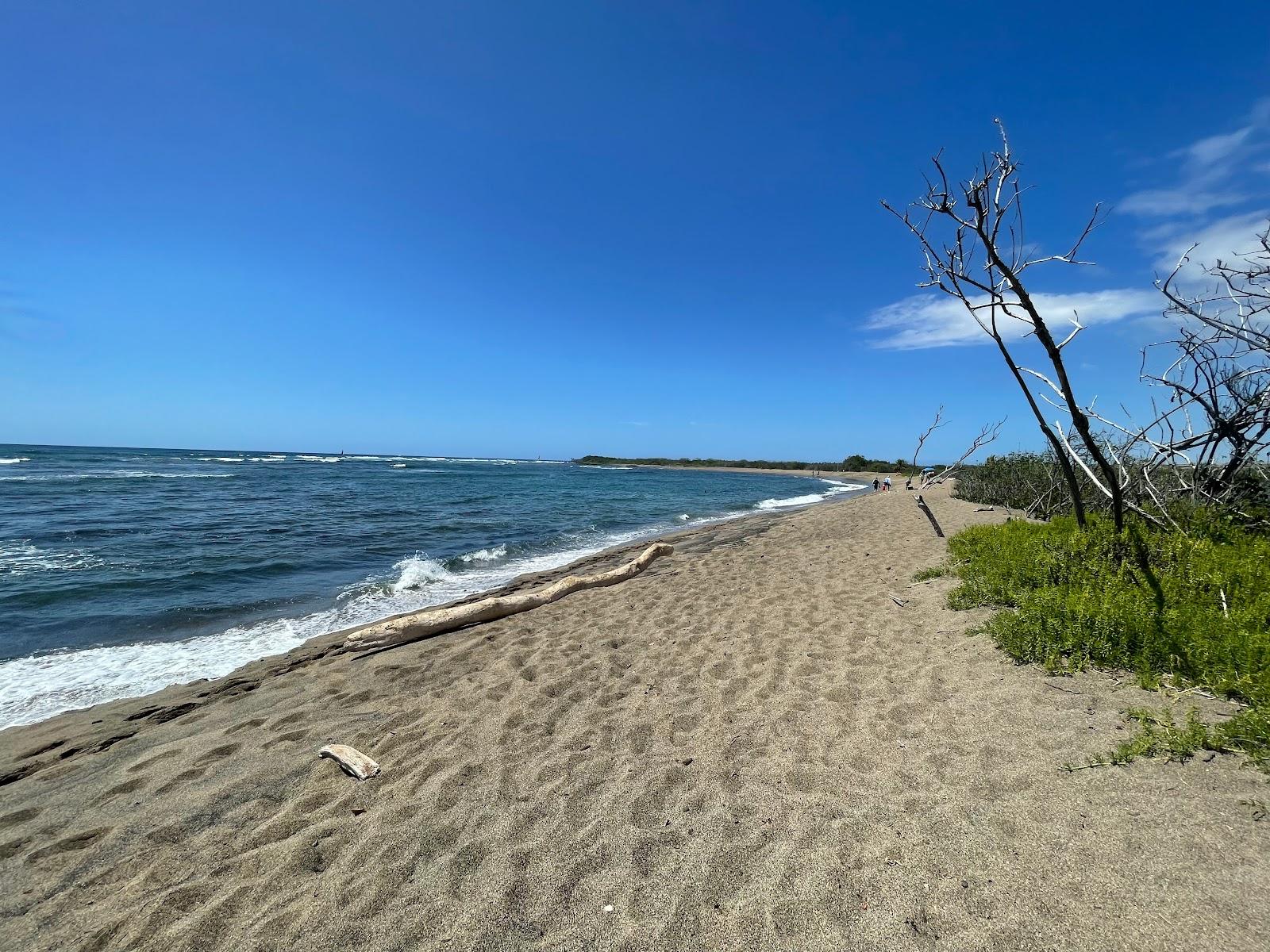 Sandee - Honokohau Bay Beach