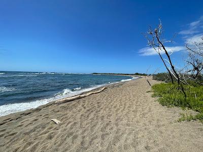 Sandee - Honokohau Bay Beach