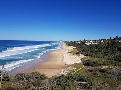 Sandee - Sunshine Beach