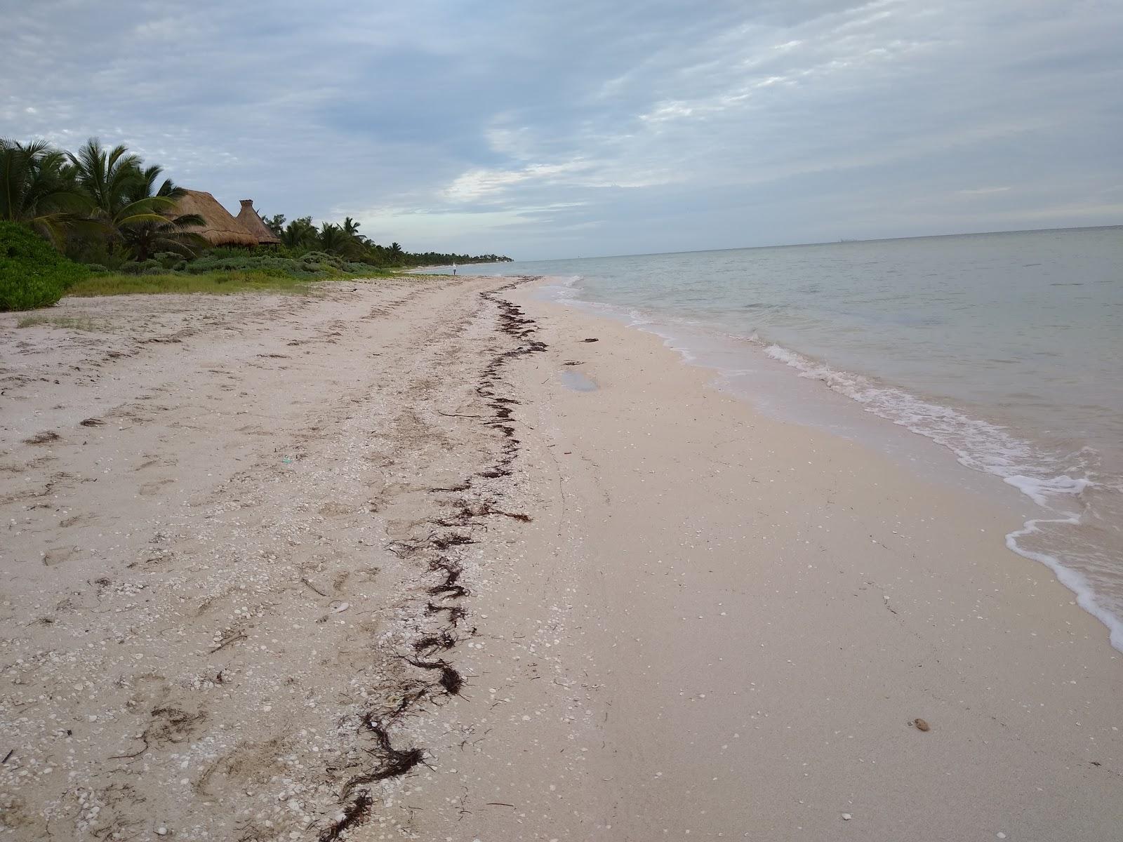 Sandee - Atardecer Desde Villa En Chicxulub