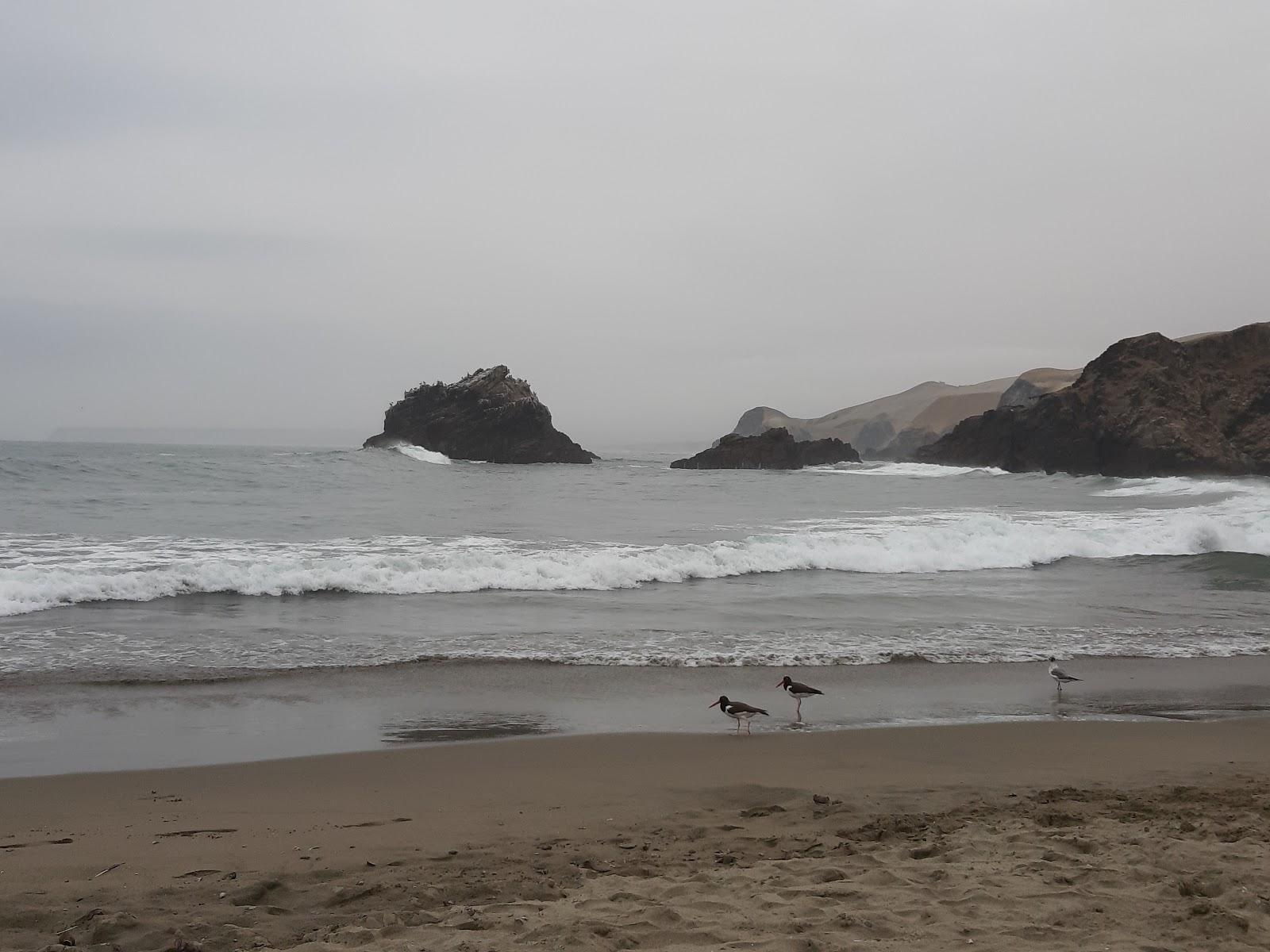 Sandee Playa Leoncitos