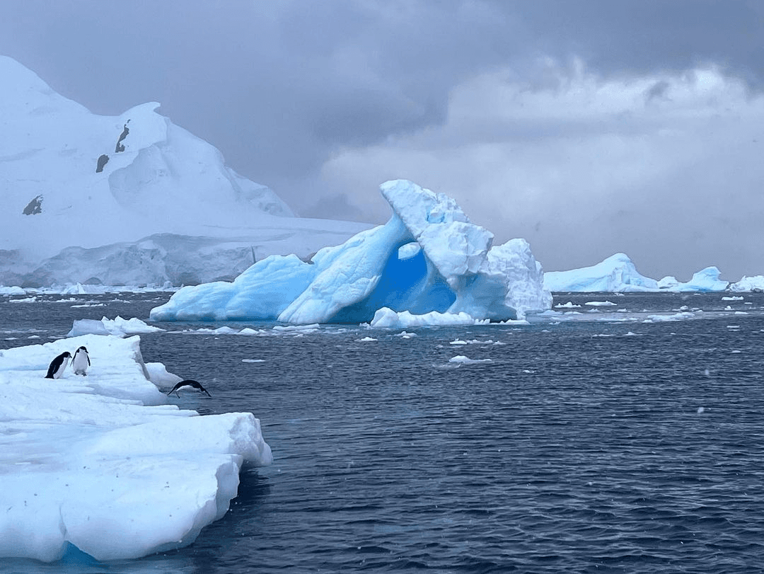 Sandee - Country / Livingston Island