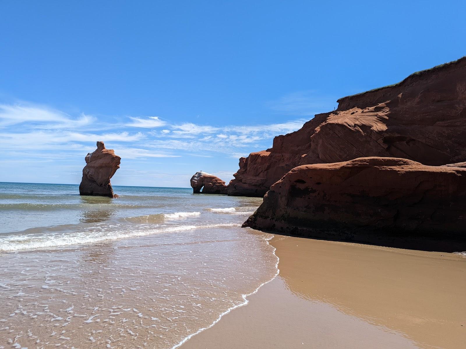 Sandee Plage De La Dune Photo