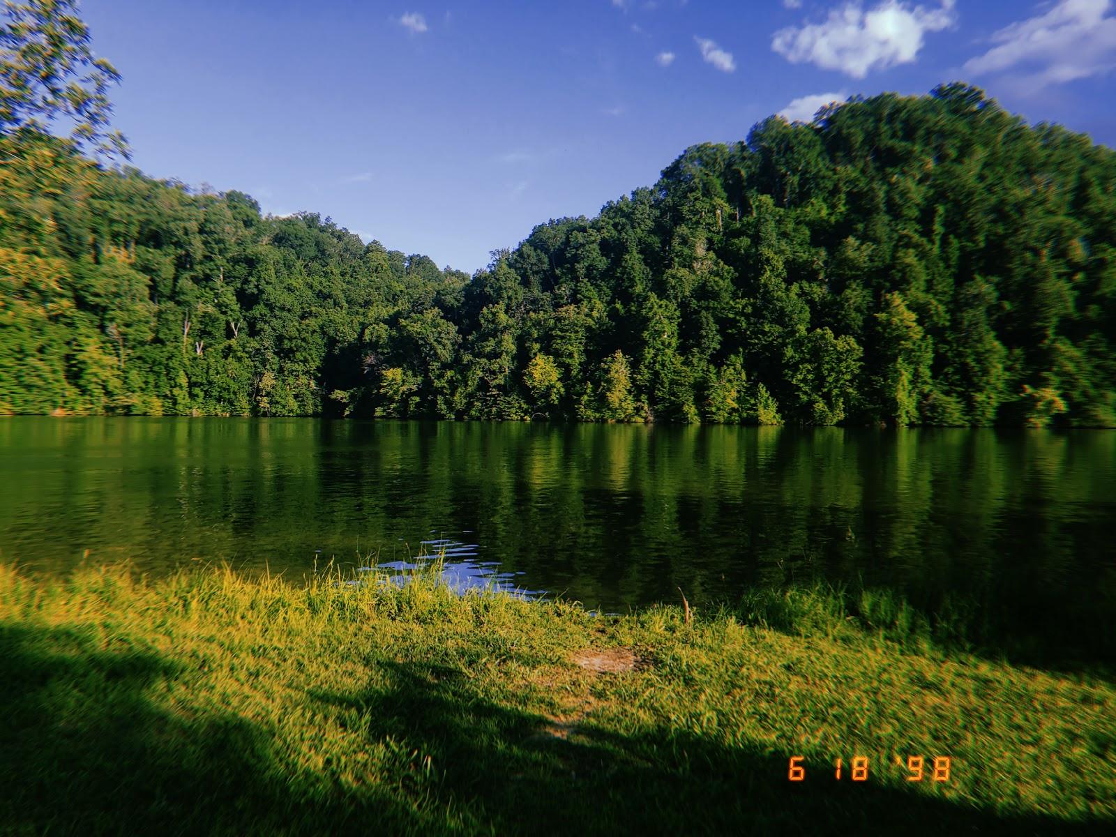 Sandee Notchy Creek Campground