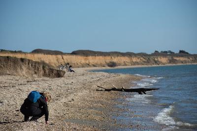 Sandee - Sharrow Point Beach