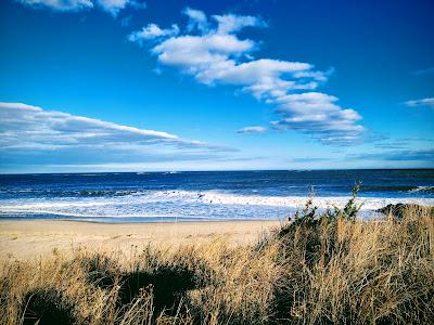 Sandee - Cape Henlopen State Park Public Beach