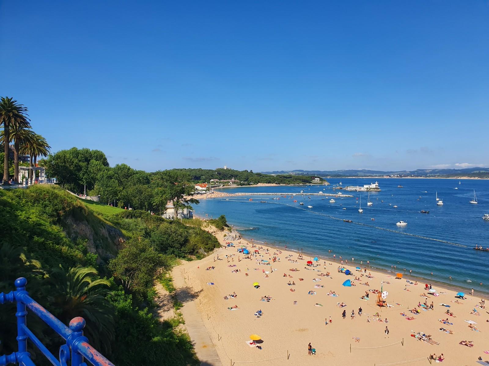 Sandee - Playa De Las Teresitas