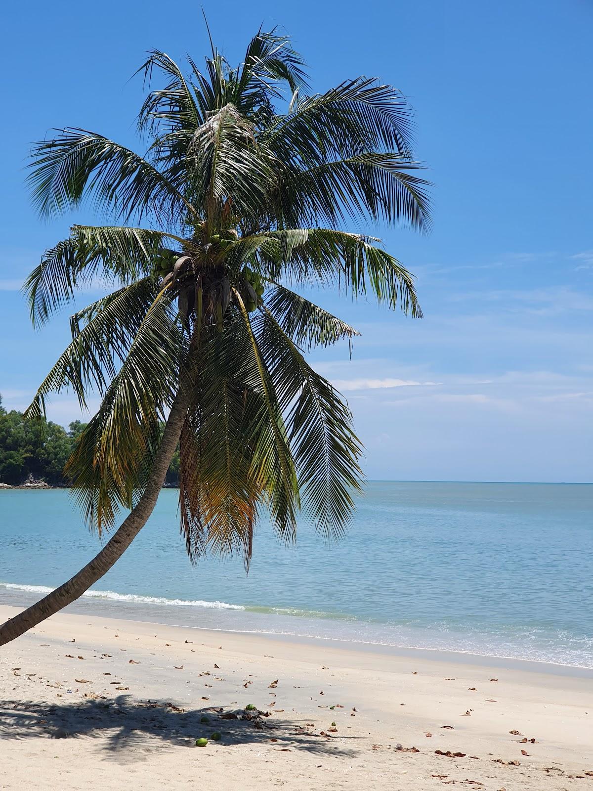 Sandee Patrick's Beach
