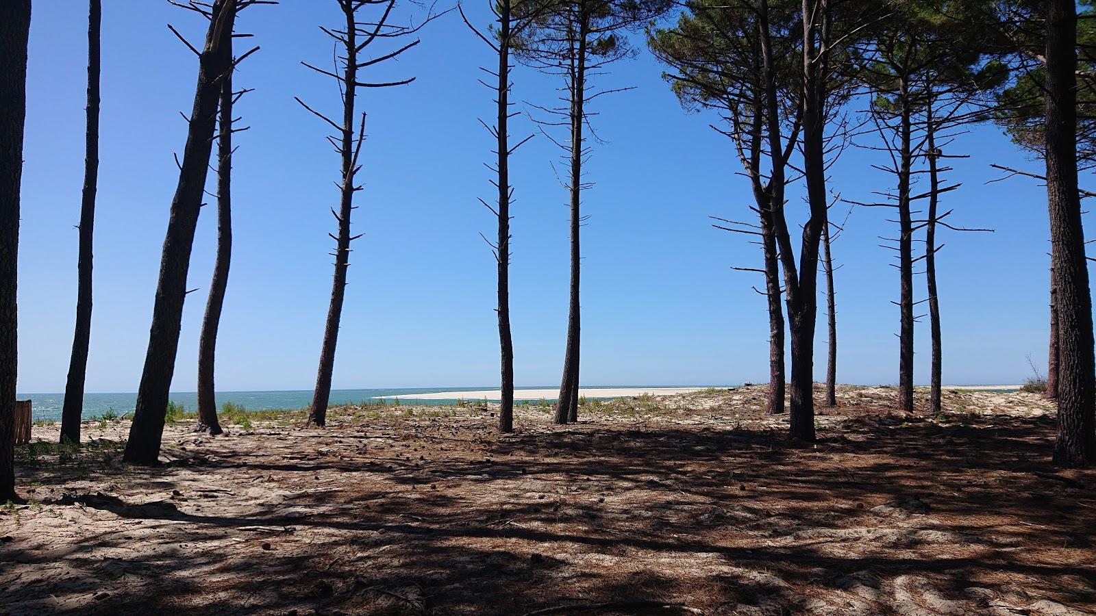 Sandee Plage De La Lagune Photo