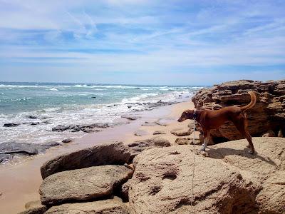 Sandee - Beach Of Canos De Meca