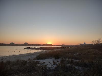 Sandee - Plum Beach