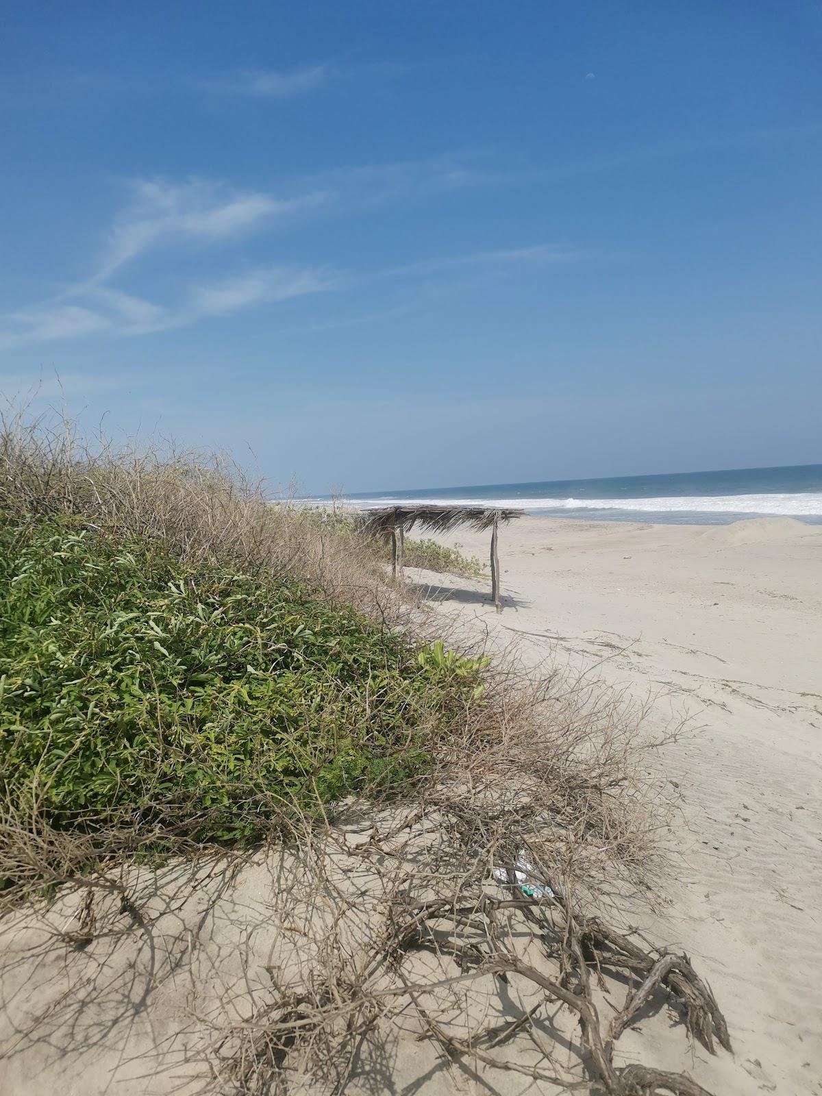 Sandee Playa Grande Oaxaca Photo