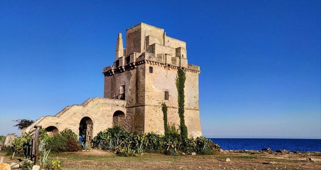 Sandee Torre Colimena
