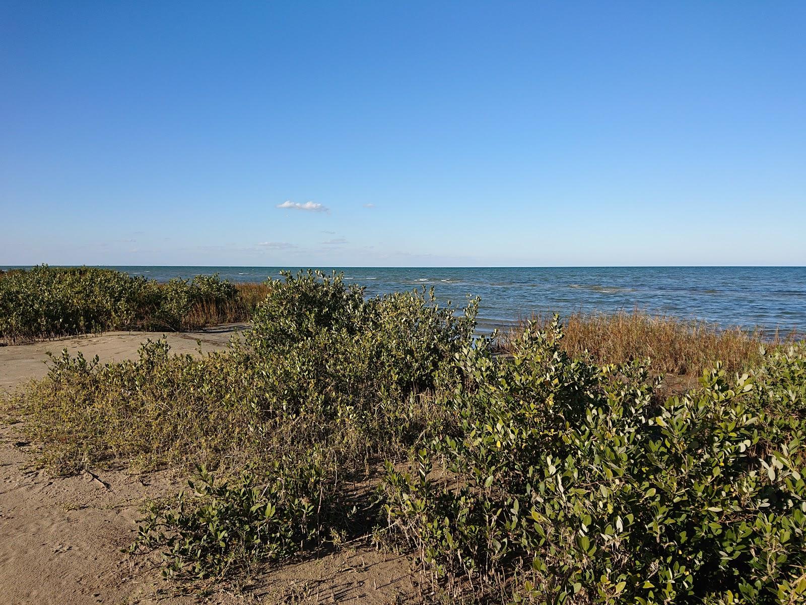 Sandee - Bogger Nature Park