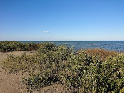 Sandee - Bogger Nature Park